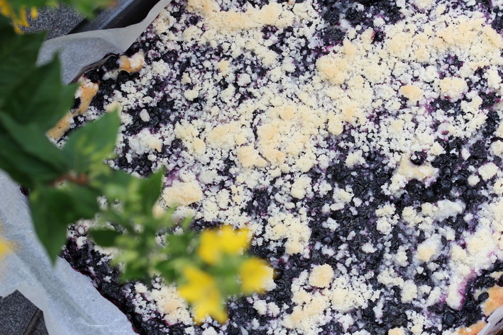 Czech Yeast Blueberry Cake With Crumble Topping