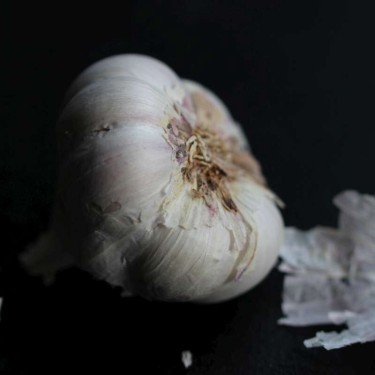 Česnečka - česnek zblízka